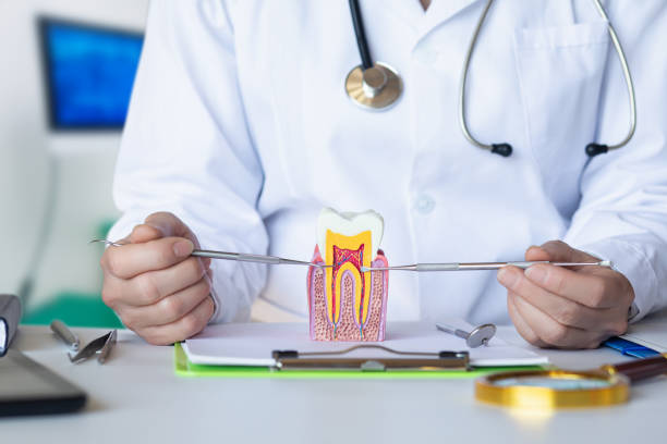 Best Pediatric Emergency Dentist in Tuscumbia, AL